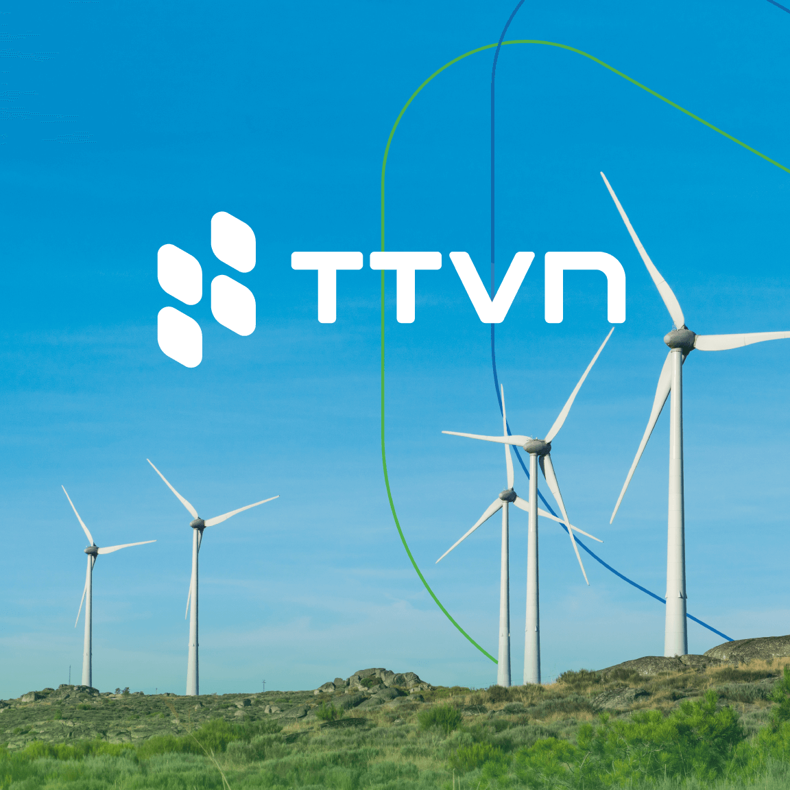 Logo TTVN do Sao Kim Thiết kế