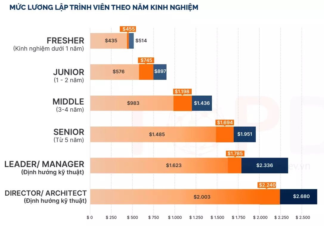 Báo Cáo Thị Trường IT Việt Nam 2023