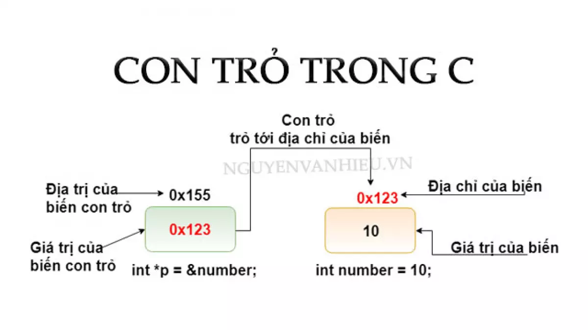 Con Trỏ Trong C