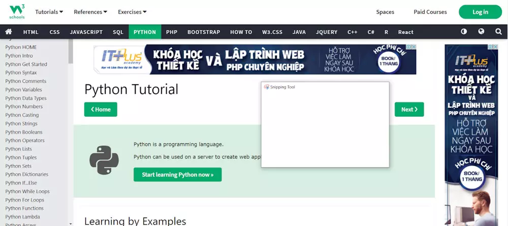 Top 5 Trang Web Khóa Học Python Miễn Phí