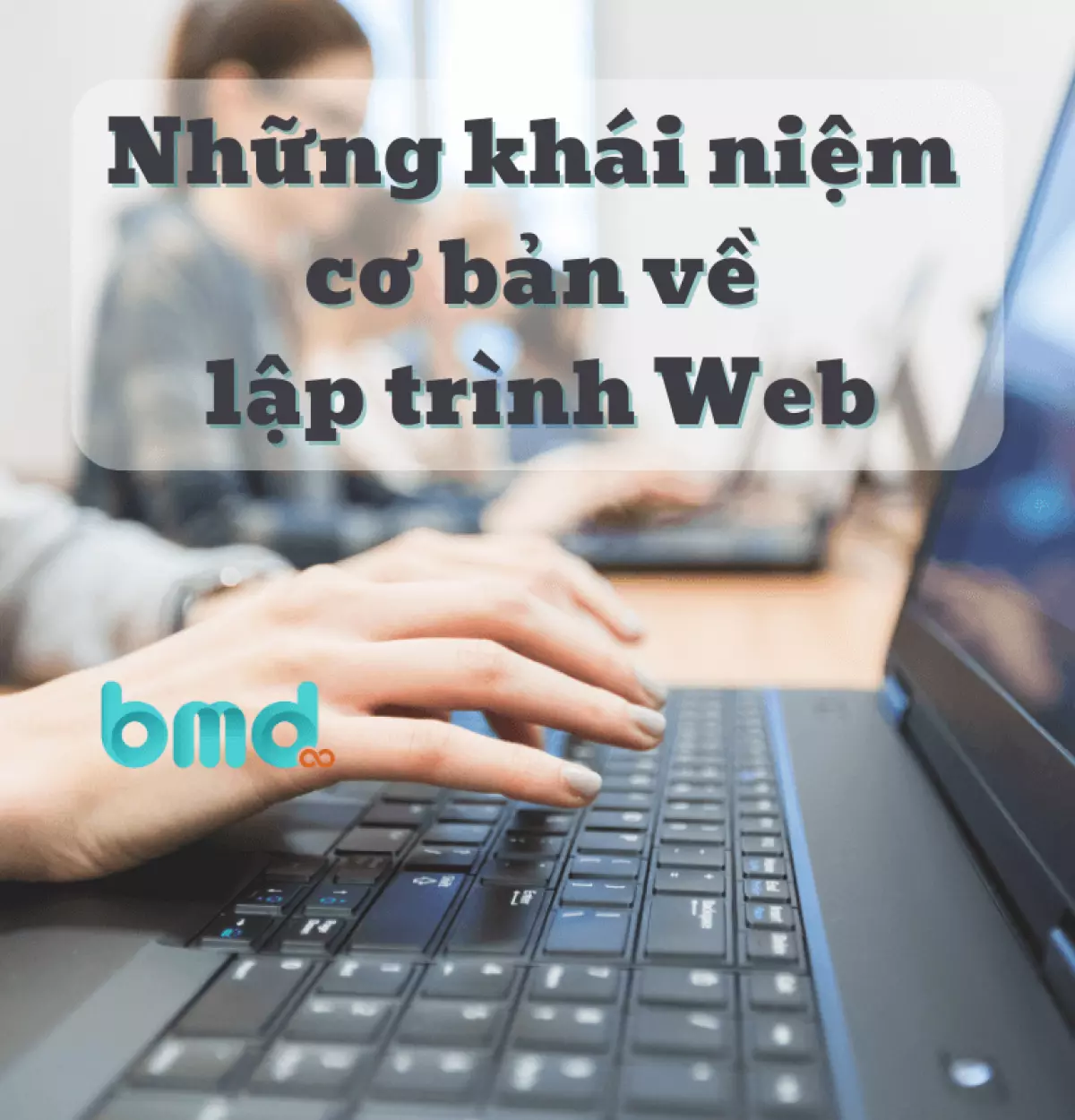 Những khái niệm cơ bản về lập trình Web