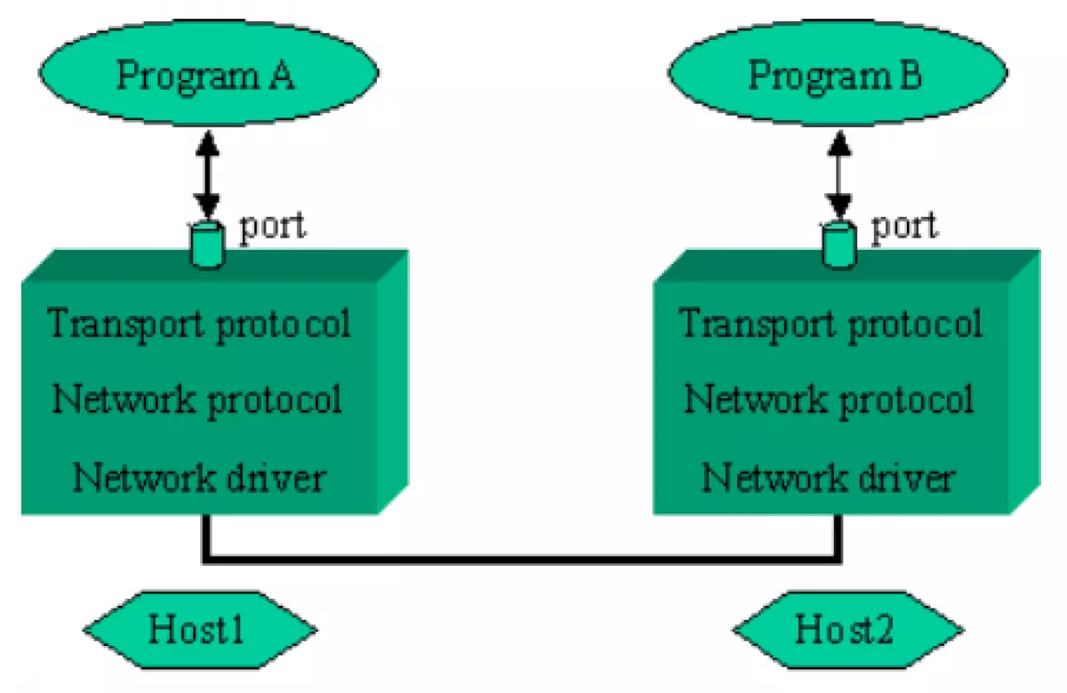 Socket Image