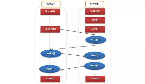 Lập trình socket bằng Python