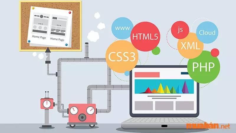 Lập trình Web là gì? Thiết kế web là gì? Cơ hội và mức lương sau khi ra trường