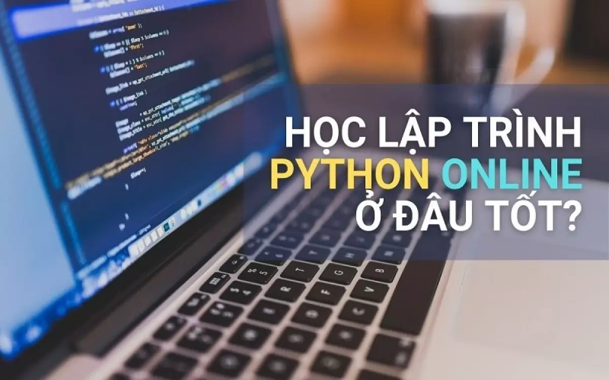 Khóa học Python cho người mới gồm những gì?