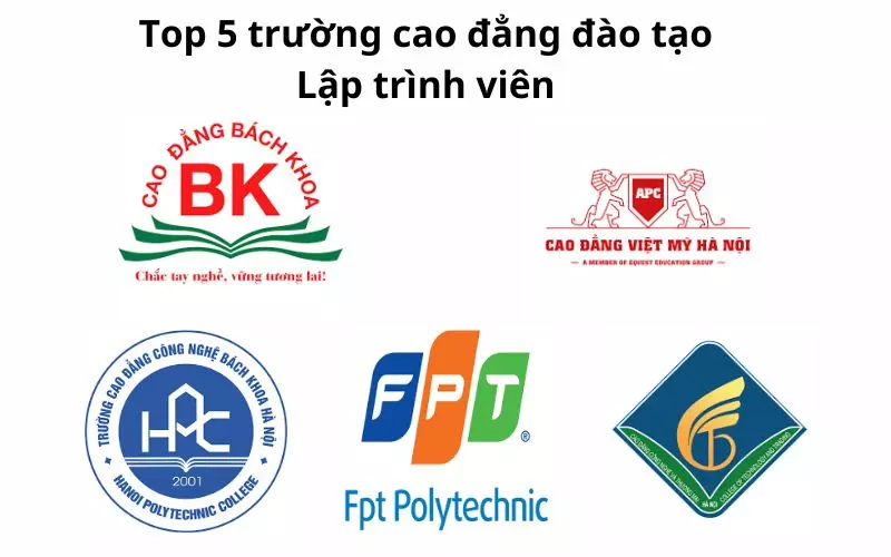 Top 5 trường cao đẳng đào tạo ngành lập trình viên