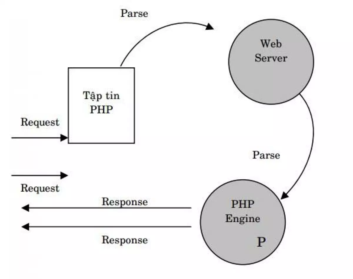 Tìm hiểu về Webserver, PHP và cách cài đặt XAMPP trên Windows