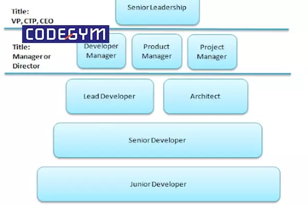 Con đường thăng tiến của lập trình viên