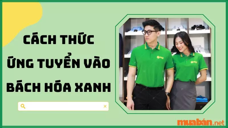 Quy trình phỏng vấn Bách Hóa Xanh vòng 1