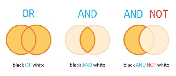 Kiểu dữ liệu logic Boolean