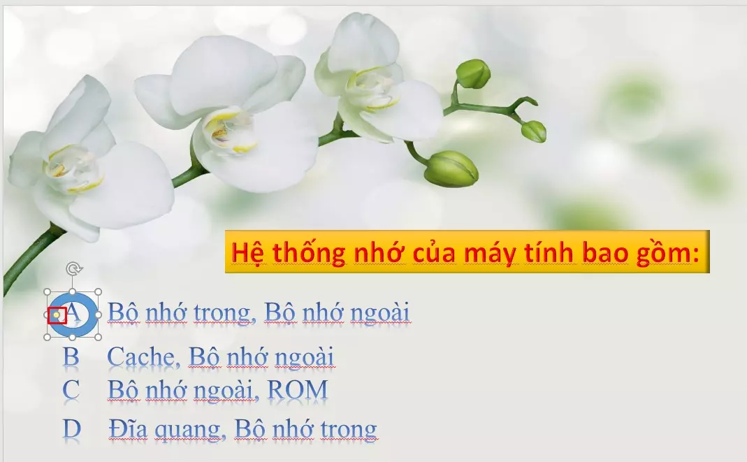 Chọn dạng khung khoanh đáp án