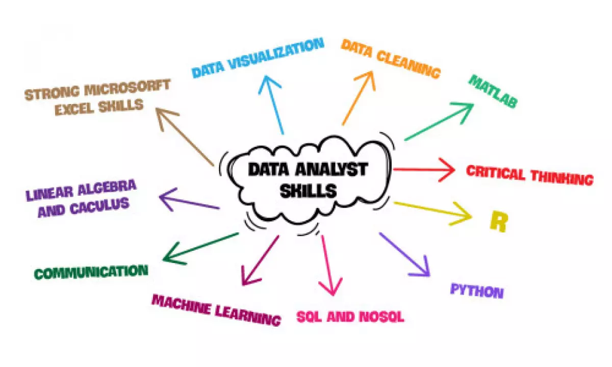 Data Analyst