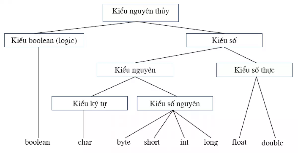 Kiểu dữ liệu nguyên thủy trong Java