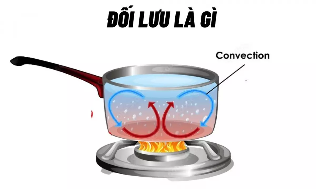 1. Đối lưu là gì