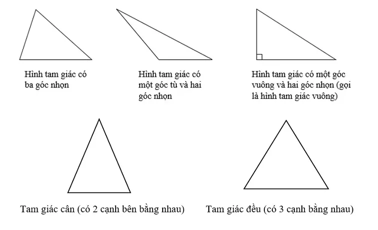 Hình tam giác được chia thành nhiều loại khác nhau