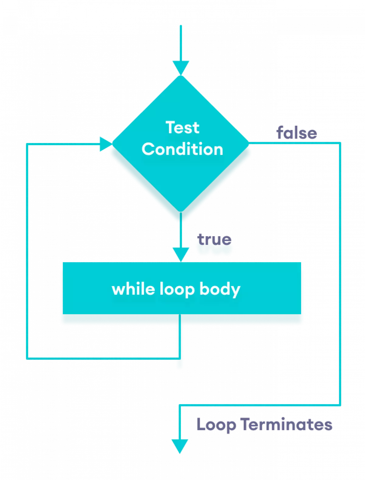 Flowchart of JavaScript while loop