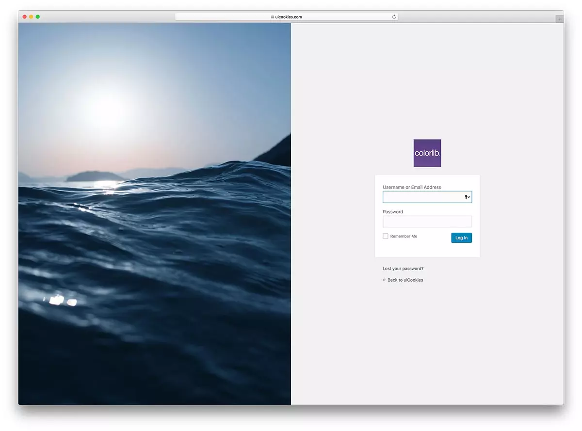 Creative HTML5 and CSS3 Login Form