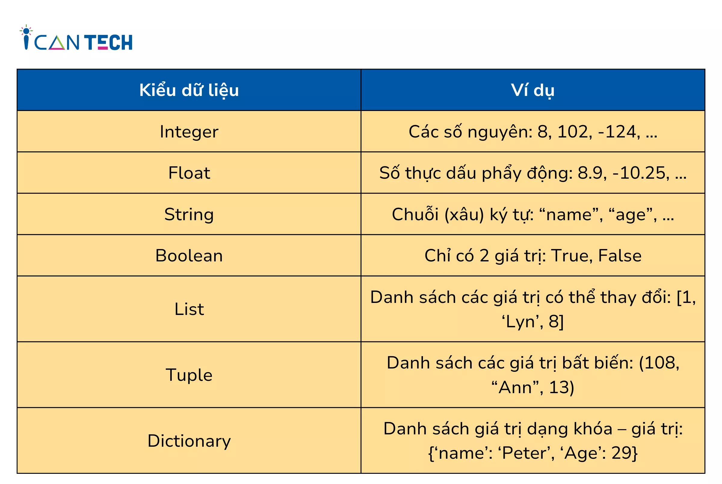 kieu-du-lieu-co-ban