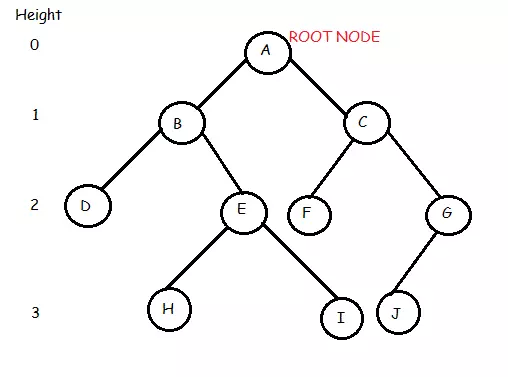 Các thuật ngữ trong cây nhị phân