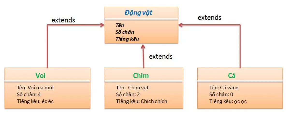 Interface trong Java