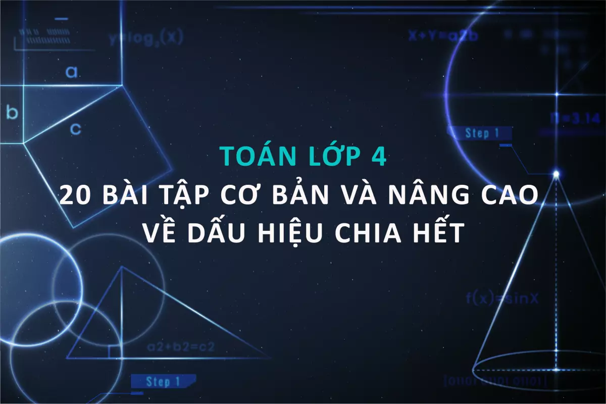 20 BÀI TẬP CƠ BẢN VÀ NÂNG CAO TỰ ÔN TẬP TẠI NHÀ VỀ DẤU HIỆU CHIA HẾT - TOÁN LỚP 4