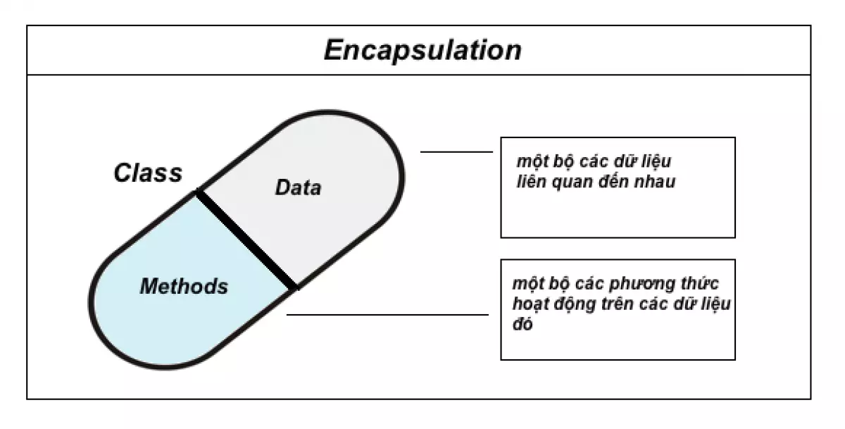 Encapsulation trong lập trình hướng đối tượng