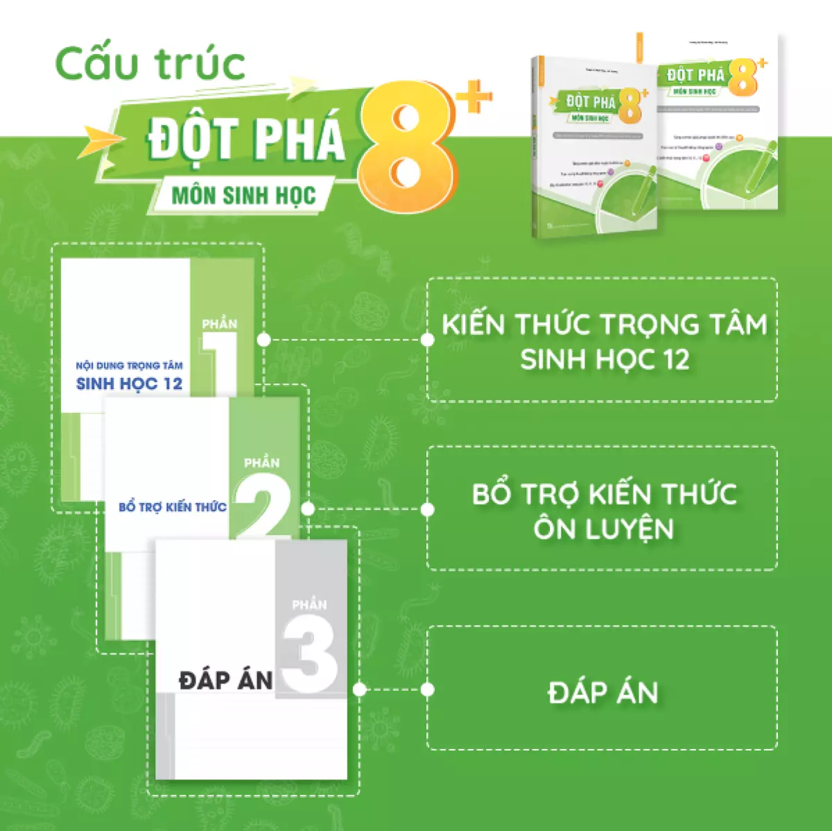 Cấu trúc sách Đột phá 8+ môn Sinh học (tái bản mới nhất)