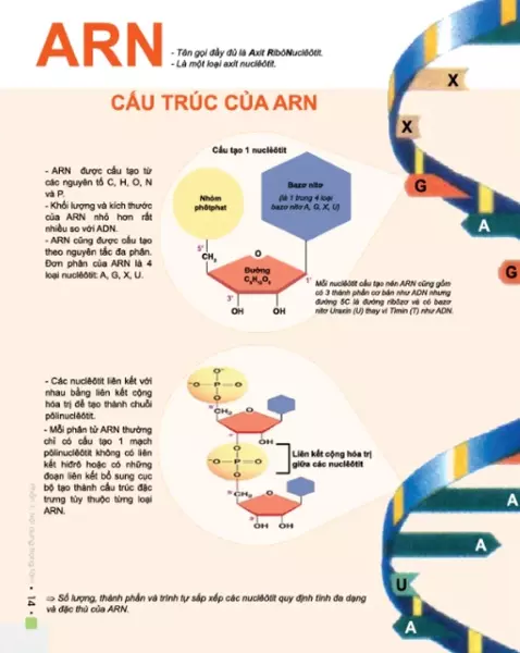 Nội dung sách Đột phá 8+ môn Sinh học (tái bản mới nhất)