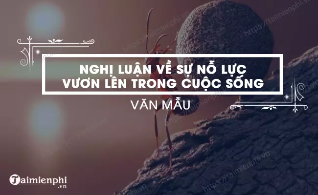 Nghị luận về ý nghĩa của sự nỗ lực trong cuộc sống - Bài viết tốt nhất, ngắn gọn