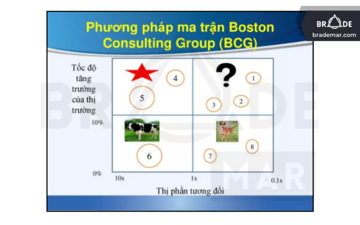 Ma trận phân tích và xây dựng chiến lược BCG