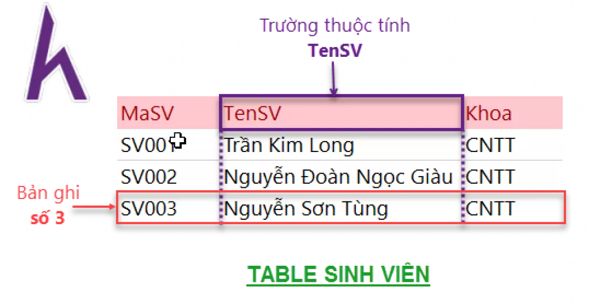 Mẫu Table hiển thị thông tin