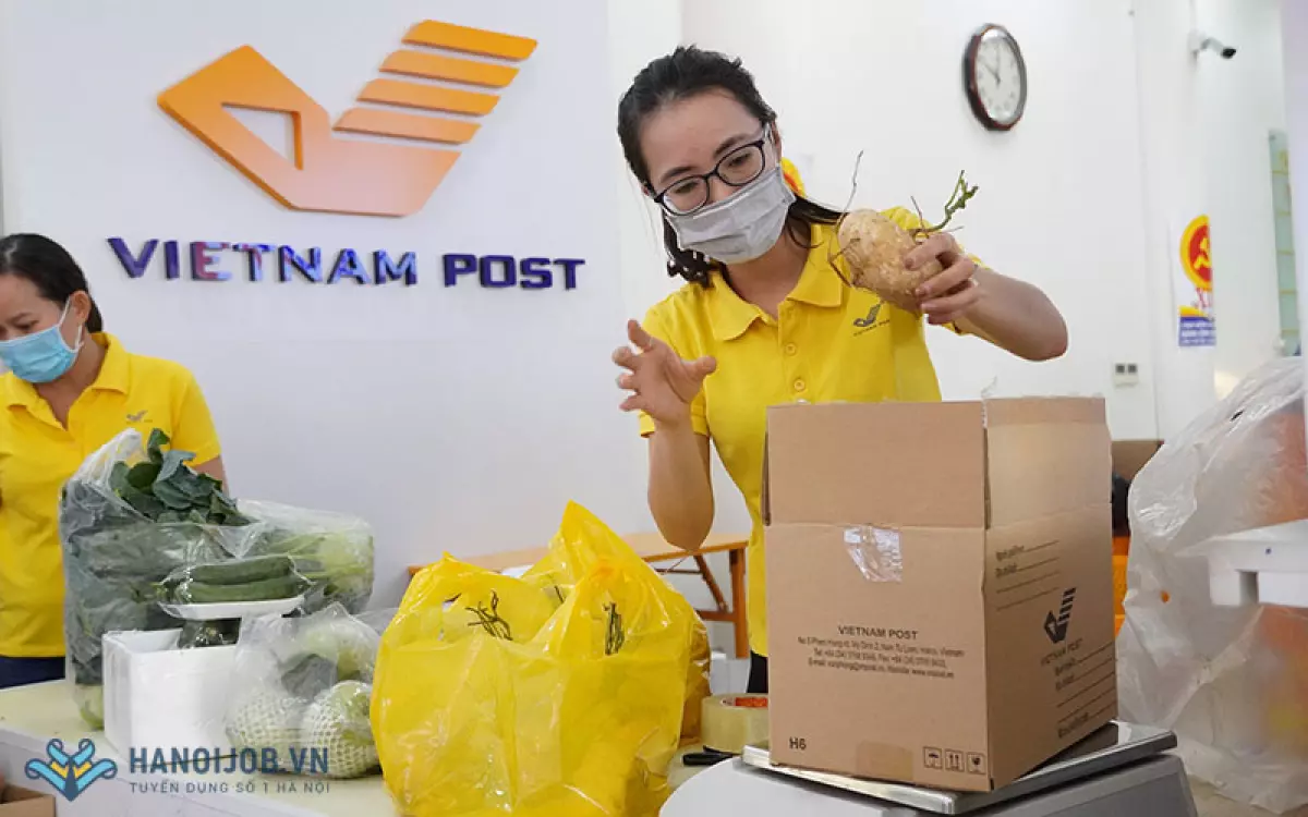 Tổng công ty Bưu điện Việt Nam VNPost