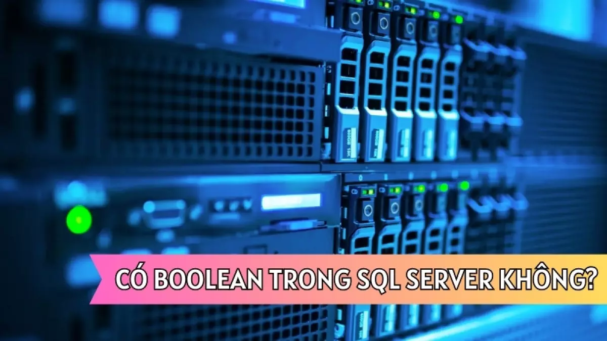 Dữ liệu boolean trong MySQL