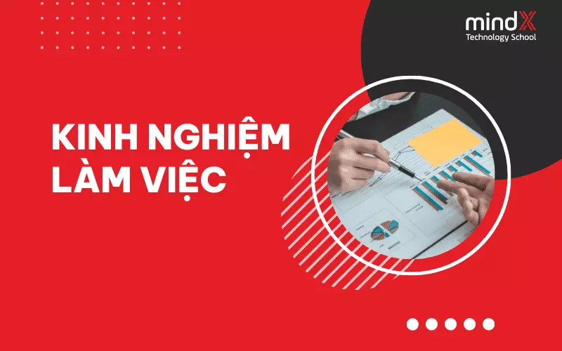 Kinh nghiệm làm việc