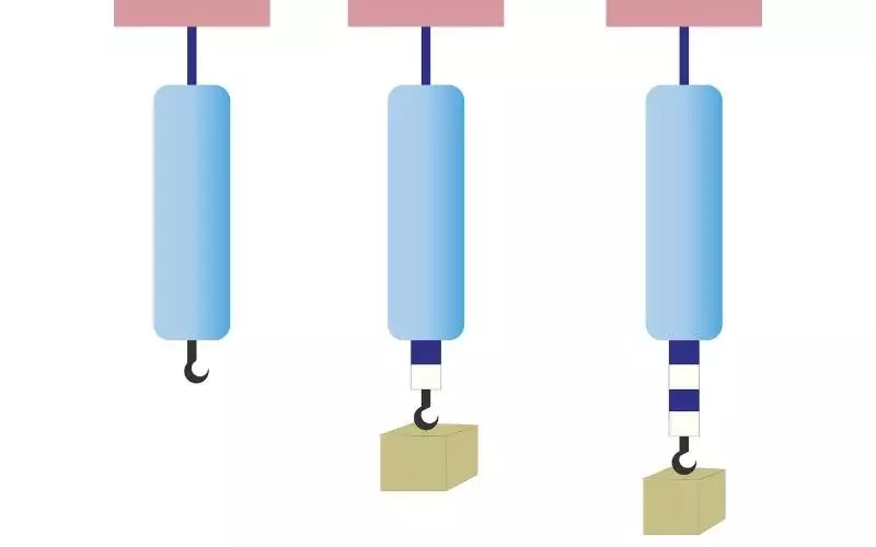 Lực kế dùng để đo những loại lực nào?