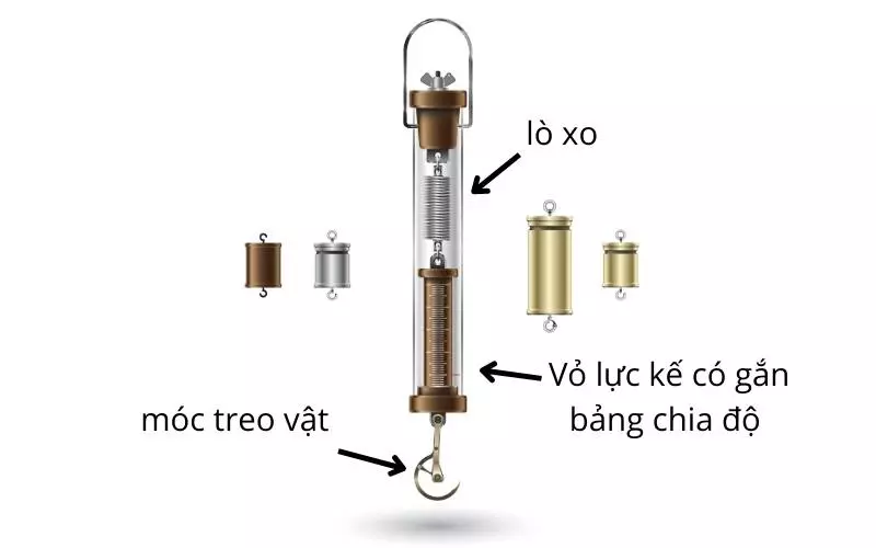 Cấu tạo của lực kế lò xo