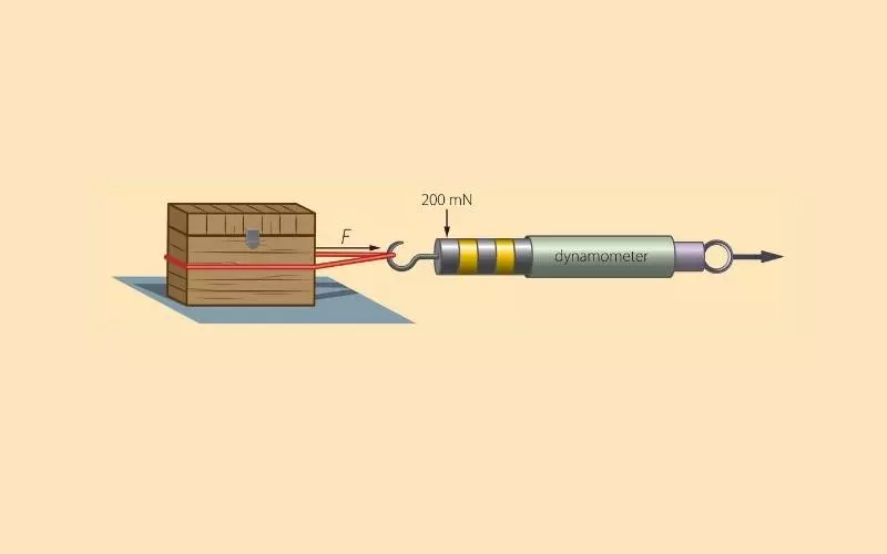 Ảnh minh họa khi dùng lực kế lò xo đo trọng lực của khối gỗ