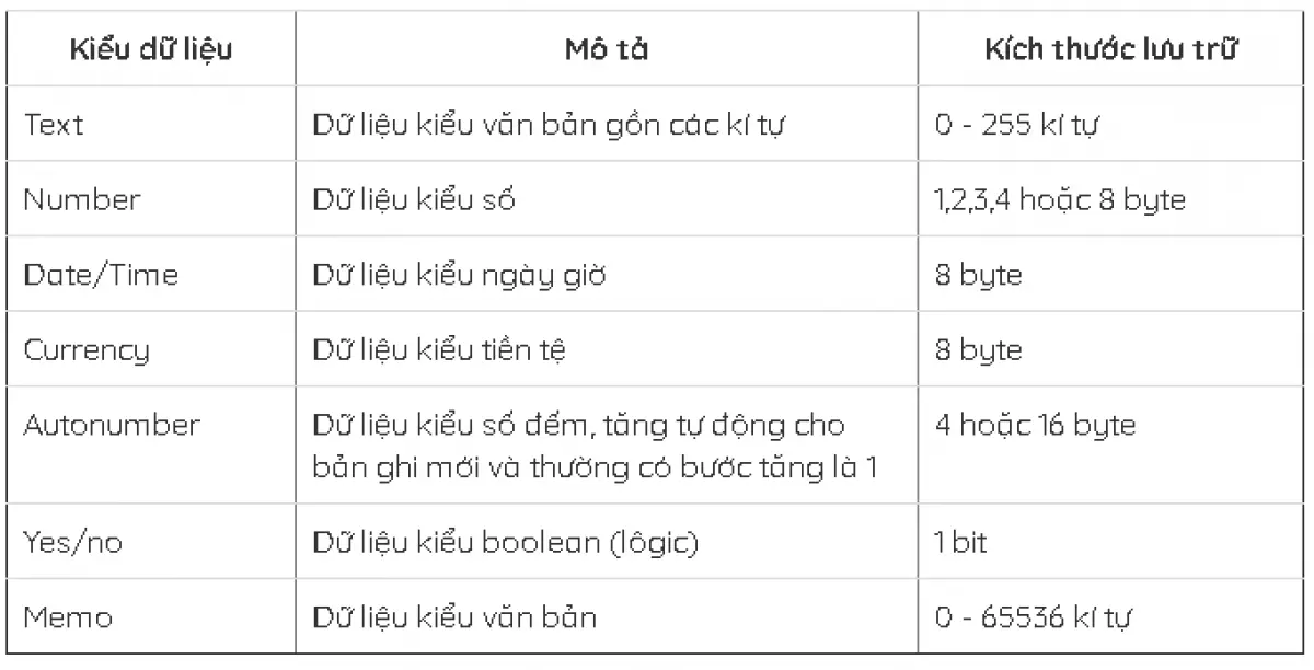 Các kiểu dữ liệu trong tin học 12