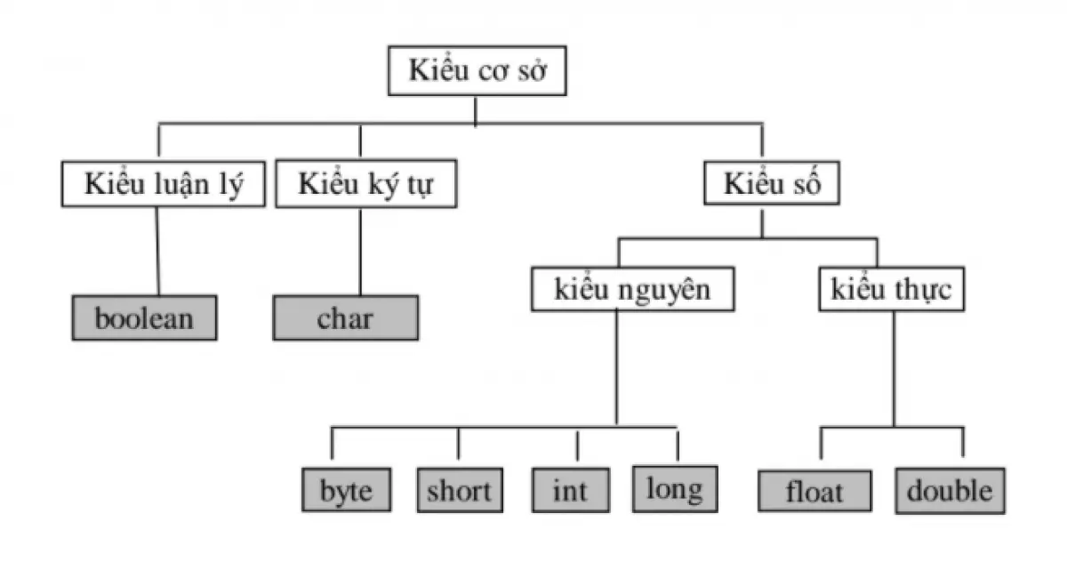 Các kiểu dữ liệu trong Java