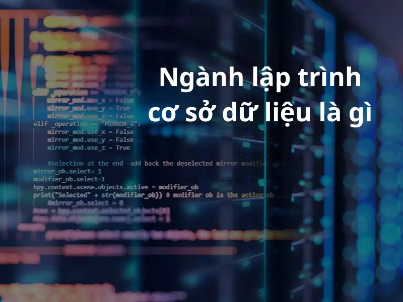 Giải đáp chi tiết về lập trình cơ sở dữ liệu