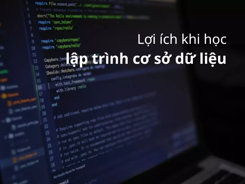Học lập trình cơ sở dữ liệu mang đến những lợi ích gì?