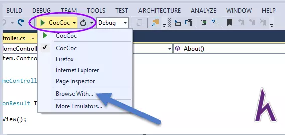 Visual Studio Run Project