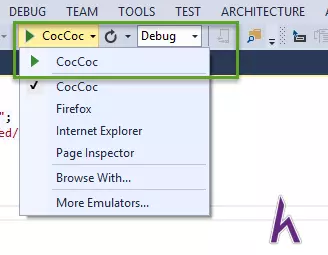 ASP.Net MVC Project Running