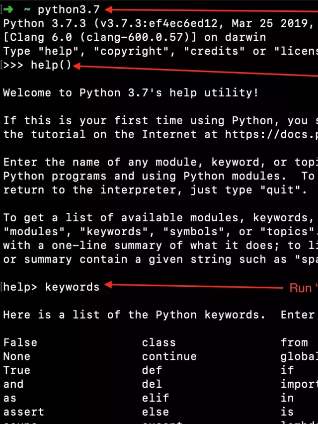   Tự học Python cho người mới bắt đầu - Biến và các kiểu cấu trúc dữ liệu cơ sở.