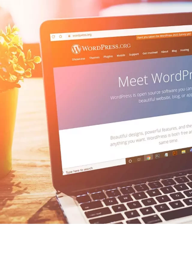   Hướng dẫn thiết kế website WordPress chi tiết từ A đến Z