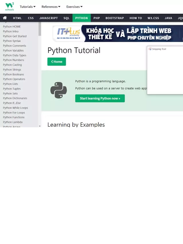   Top 5 Trang Web Khóa Học Python Miễn Phí Mà Bạn Không Thể Bỏ Qua