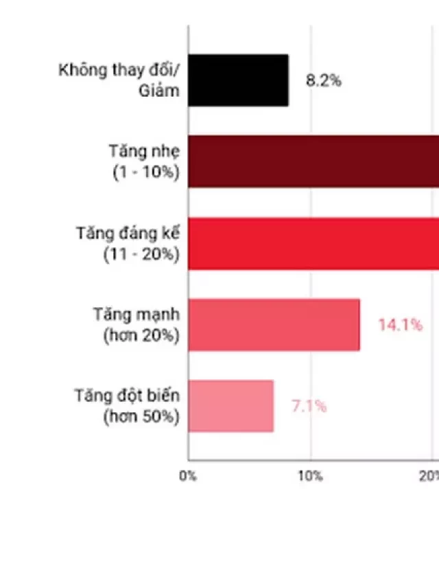   Lập trình viên "có tuổi" và tương lai của họ