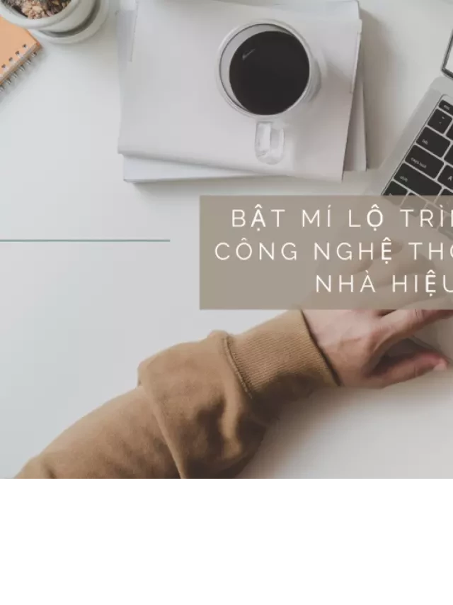   Bật mí lộ trình tự học công nghệ thông tin tại nhà hiệu quả