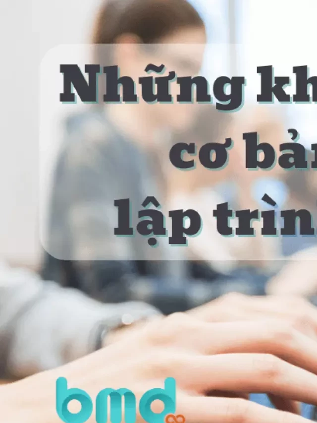   Kiến thức cơ bản về lập trình web – Hành trang cho người mới bắt đầu