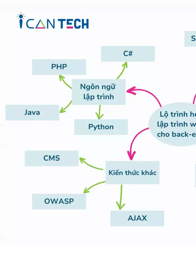   Lộ trình học Back-end Python cho việc trở thành lập trình viên chuyên nghiệp